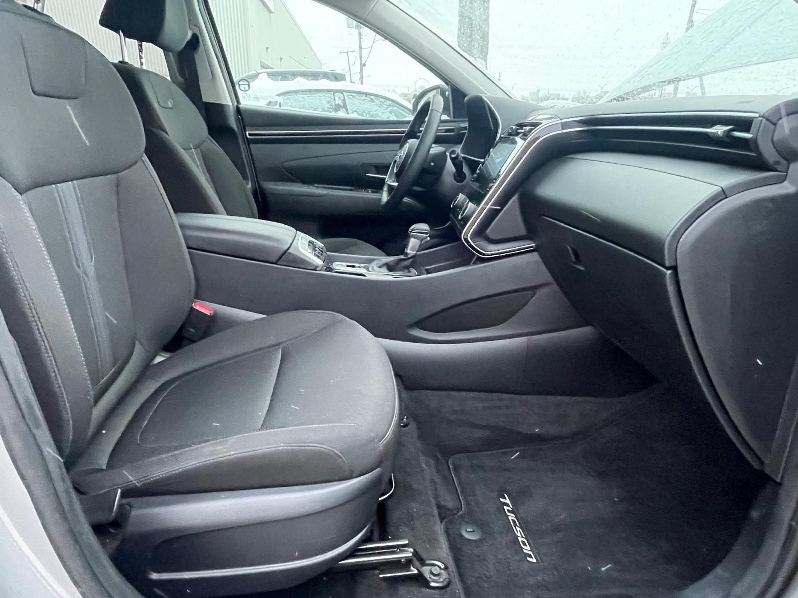 PHOTO-2026-01-05-17-16-09 4.jpg