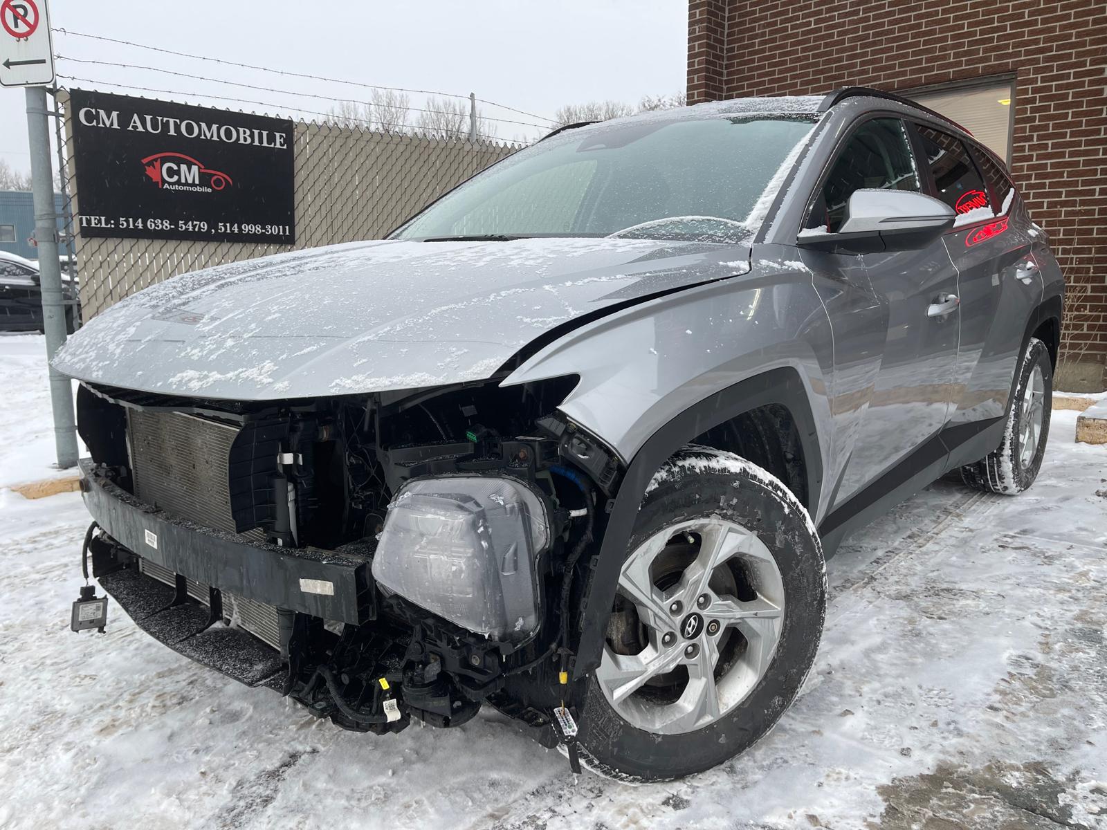 PHOTO-2026-01-05-17-16-08 4.jpg