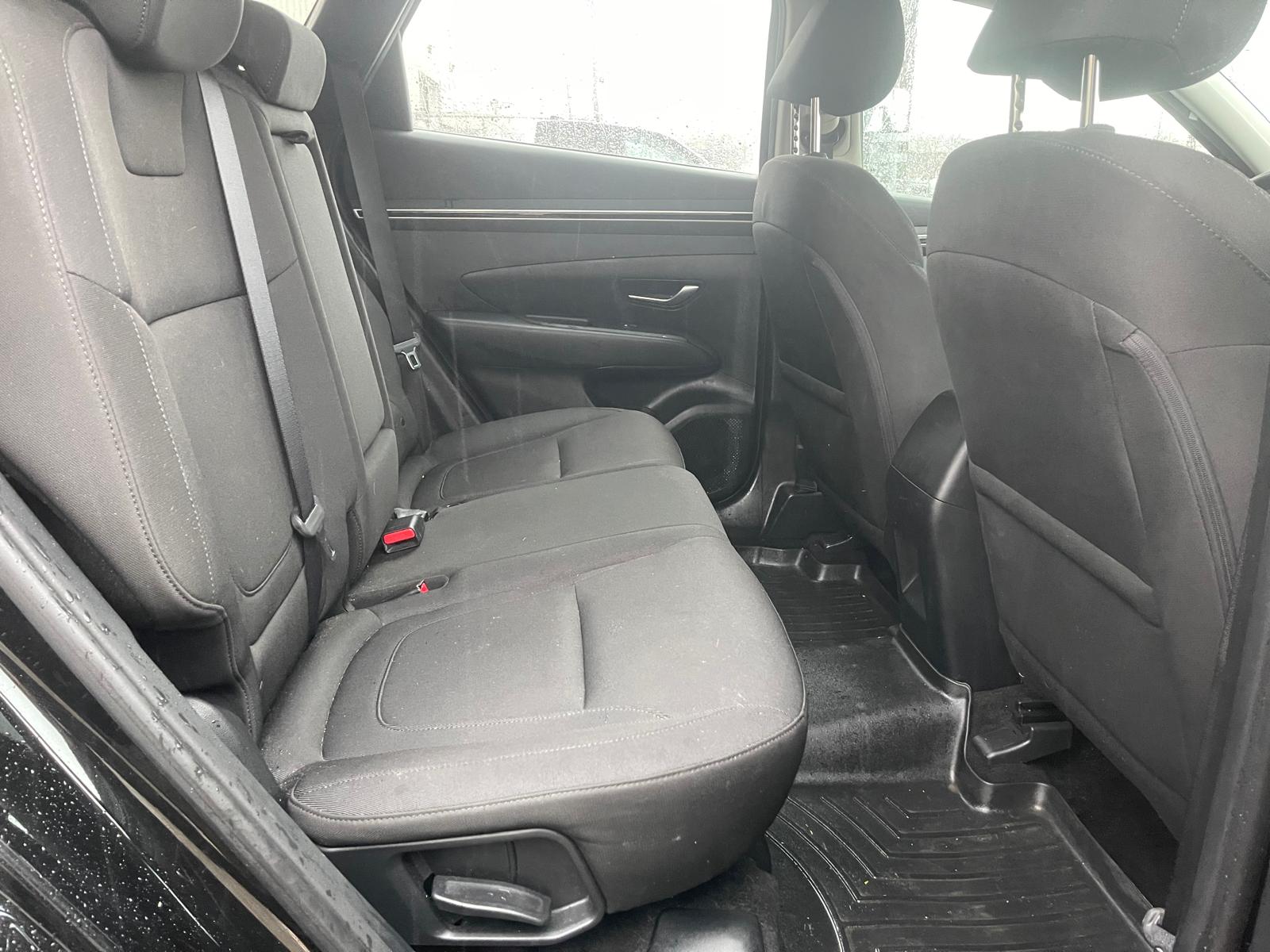 PHOTO-2026-01-09-14-41-16 3.jpg