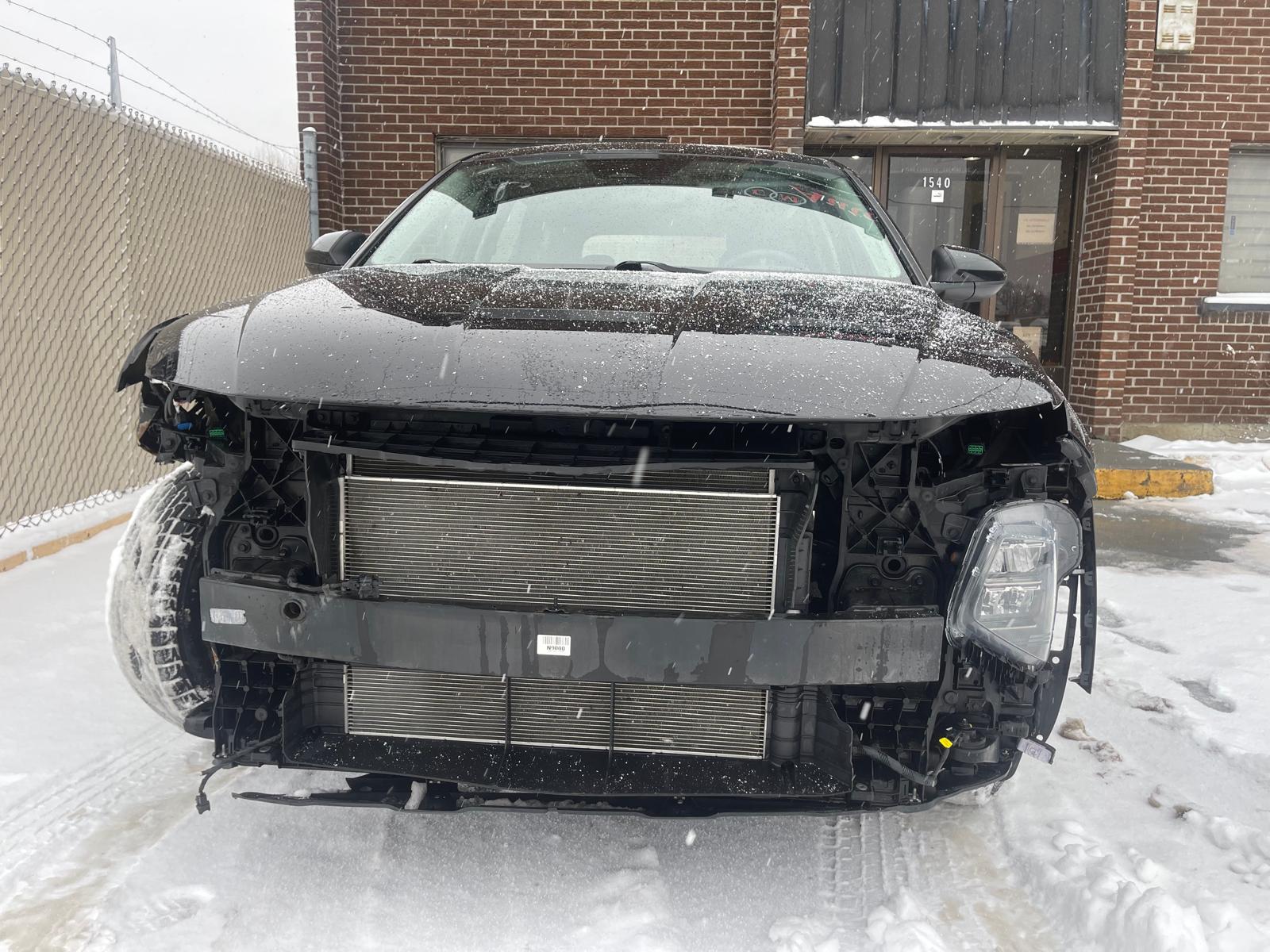 PHOTO-2026-01-15-14-33-52 4.jpg