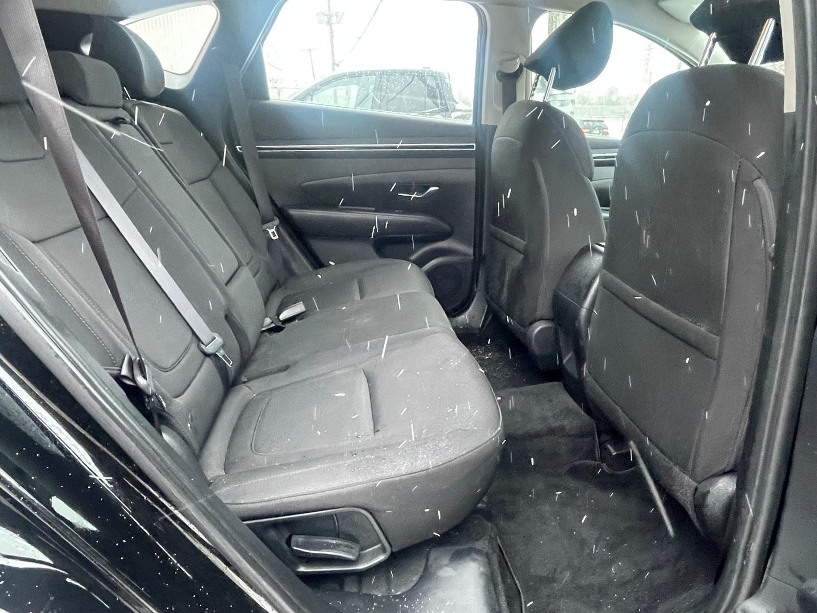 PHOTO-2026-01-15-14-33-53 17.jpg