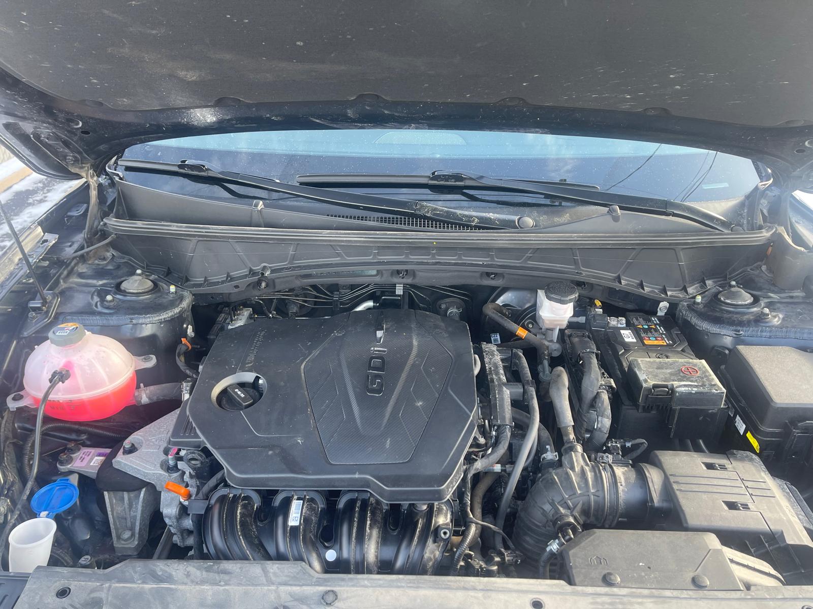 PHOTO-2026-01-30-10-24-52 10.jpg