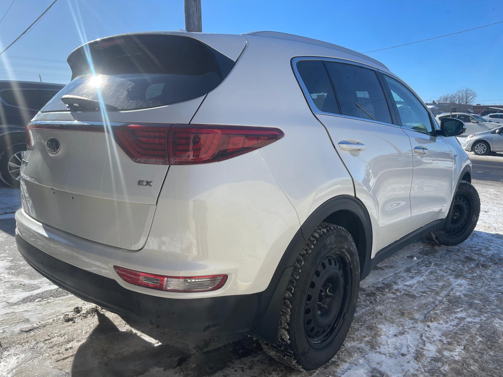 PHOTO-2026-02-02-12-14-28 11.jpg