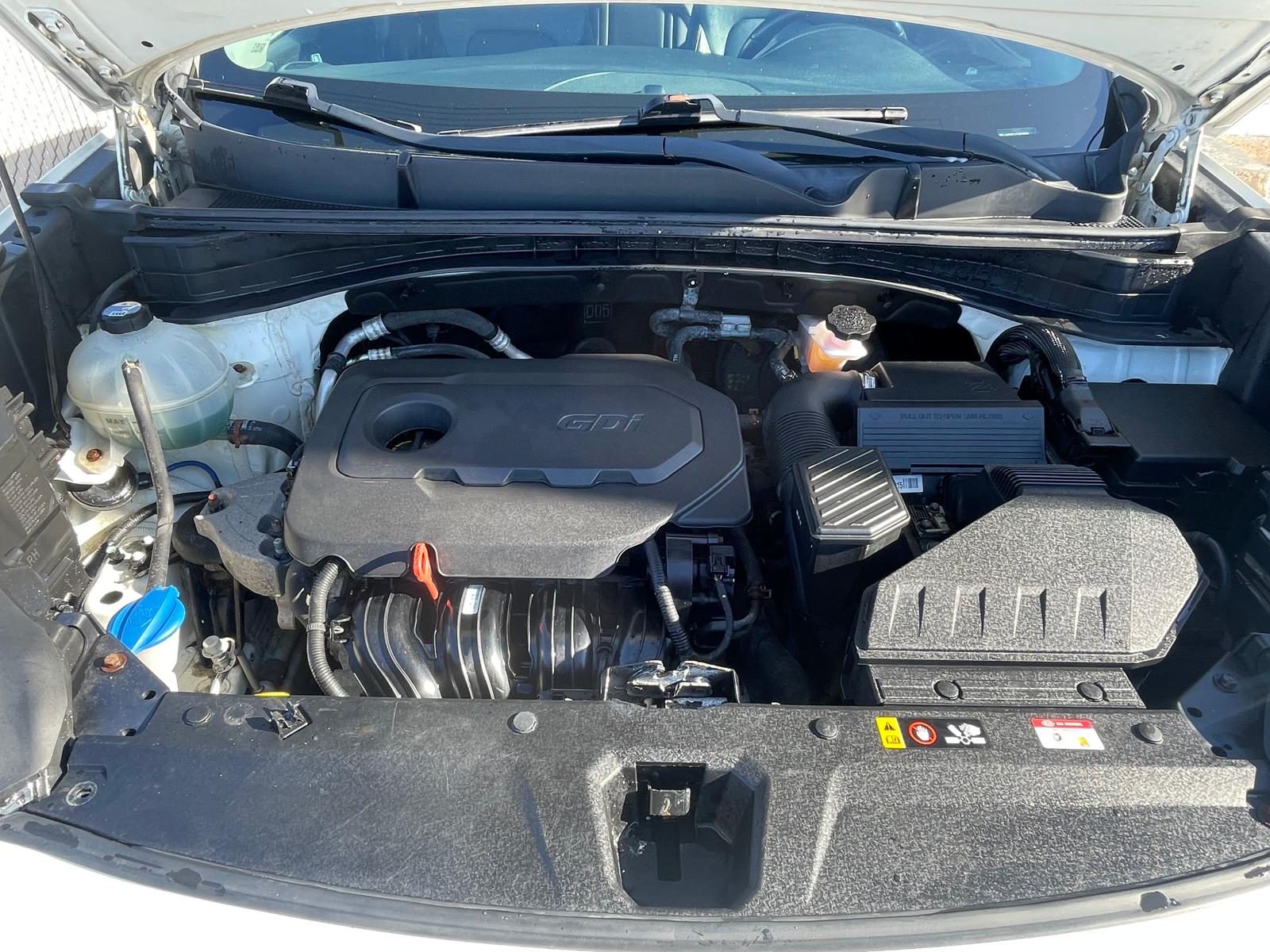 WhatsApp Image 2026-02-02 at 12.21.21.jpeg