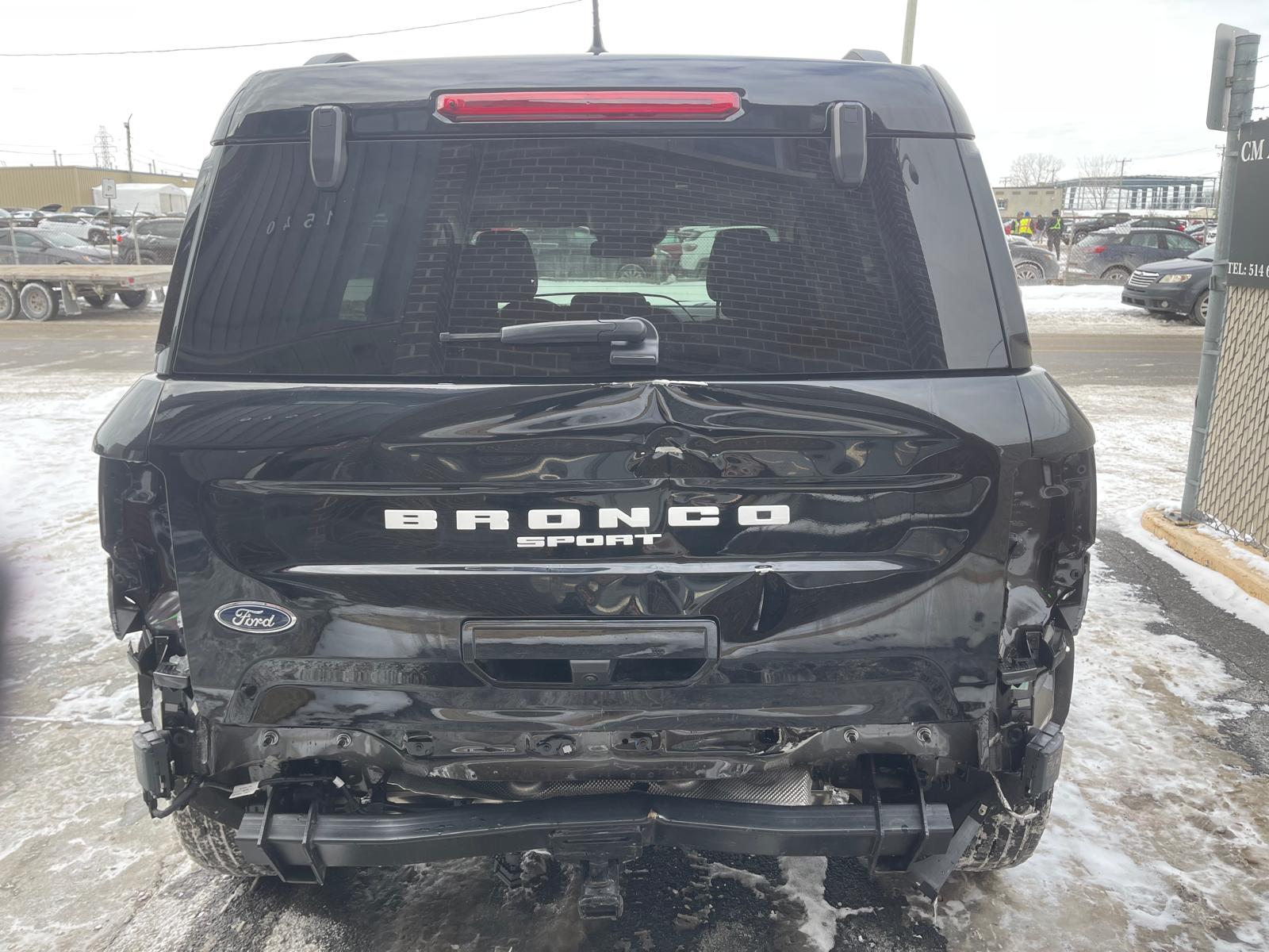 PHOTO-2026-02-10-10-13-40 6.jpg