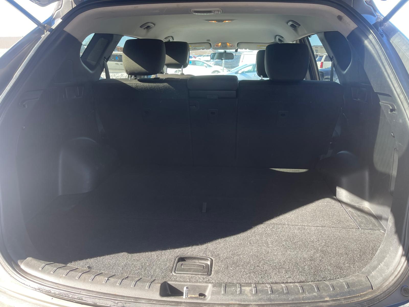 PHOTO-2026-02-13-11-53-06 21.jpg