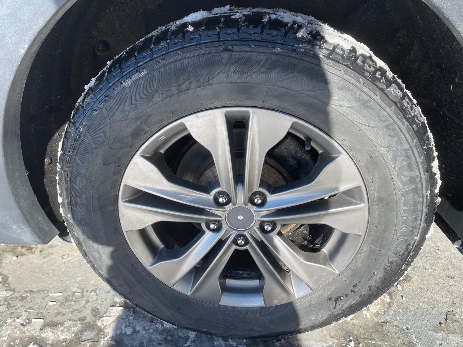 PHOTO-2026-02-13-11-53-06 9.jpg