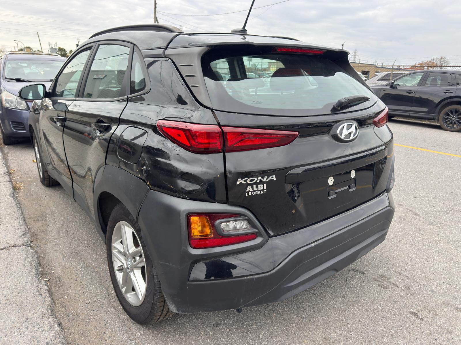 PHOTO-2026-02-16-03-20-59 4.jpg