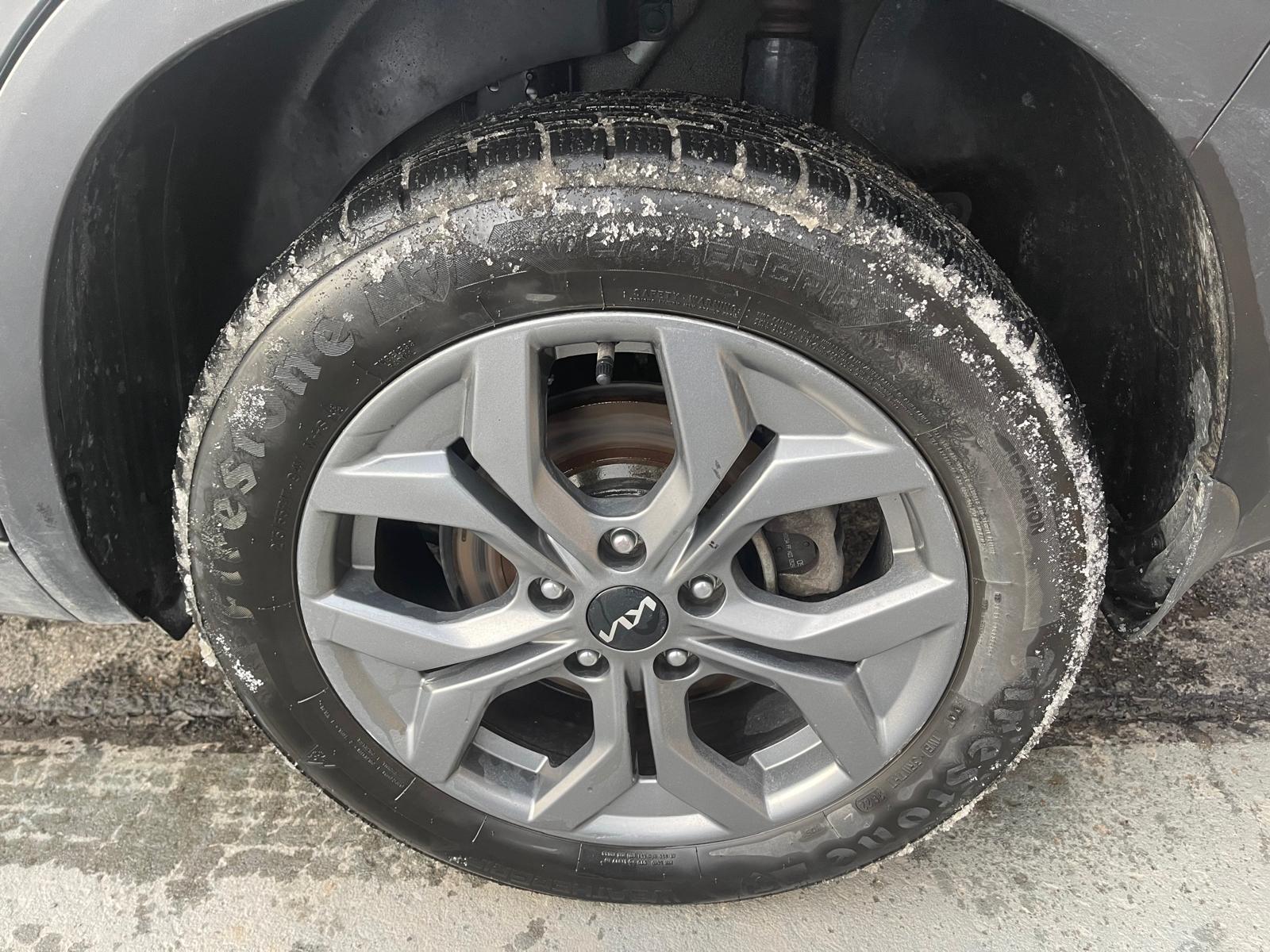 PHOTO-2026-02-19-09-42-11 9.jpg