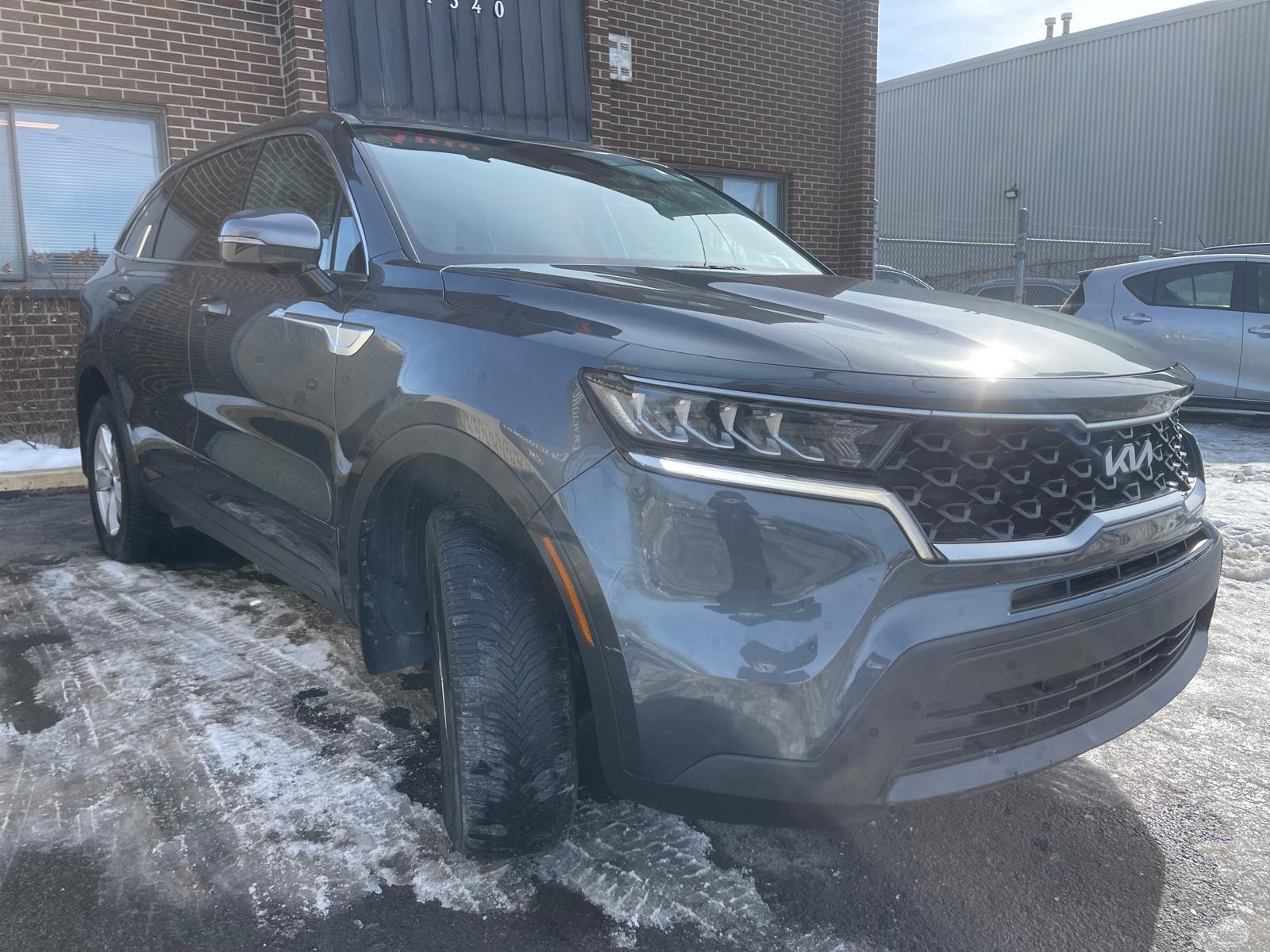 PHOTO-2026-02-19-13-08-00 2.jpg