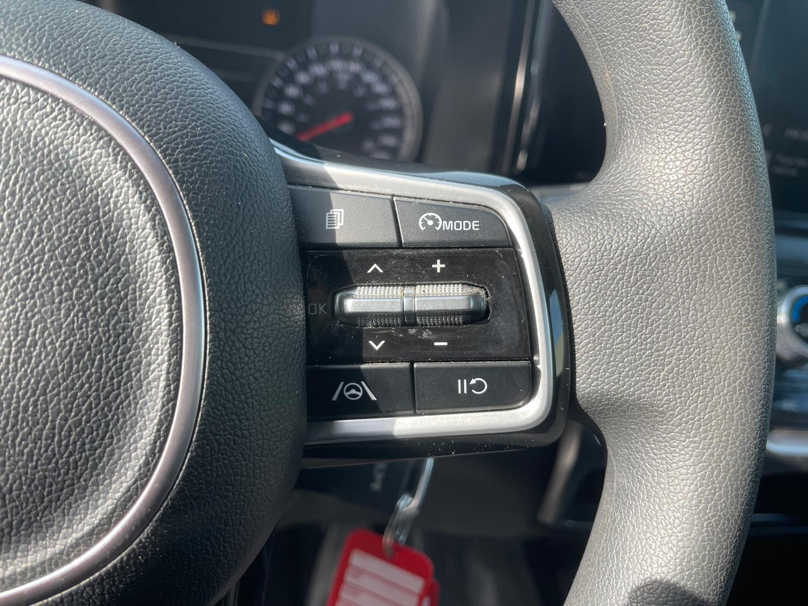 PHOTO-2026-02-19-13-08-00 12.jpg