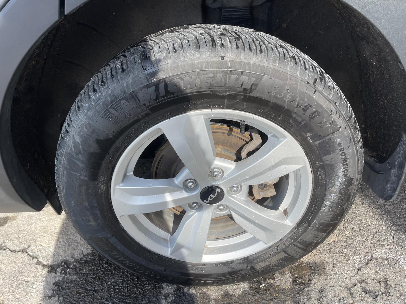 PHOTO-2026-02-19-13-08-00 21.jpg