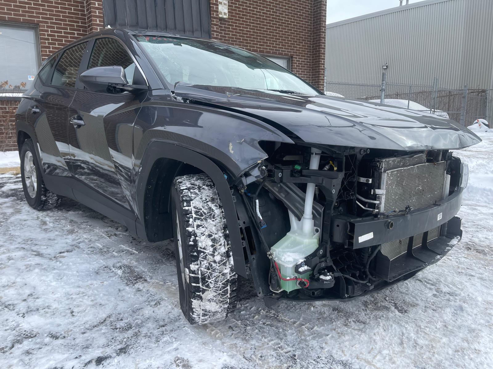 PHOTO-2026-02-26-15-15-43 14.jpg