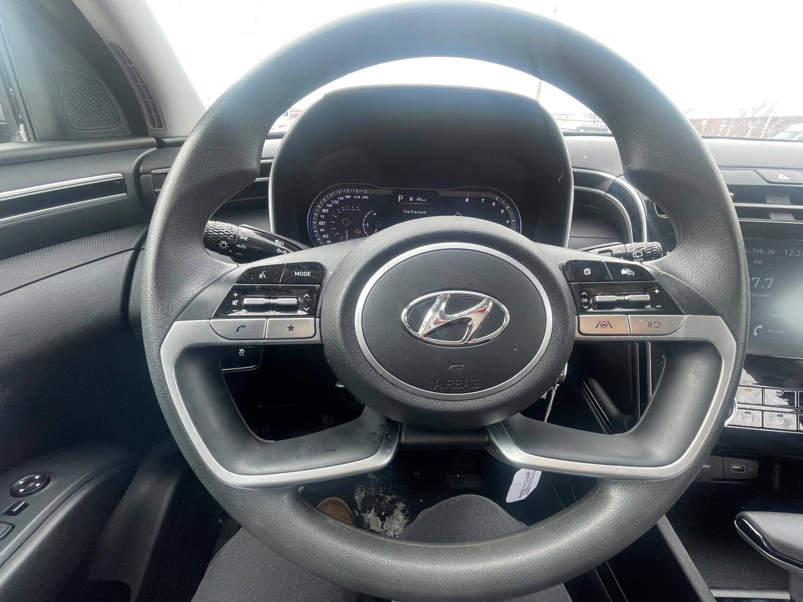 PHOTO-2026-02-26-15-15-42 4.jpg