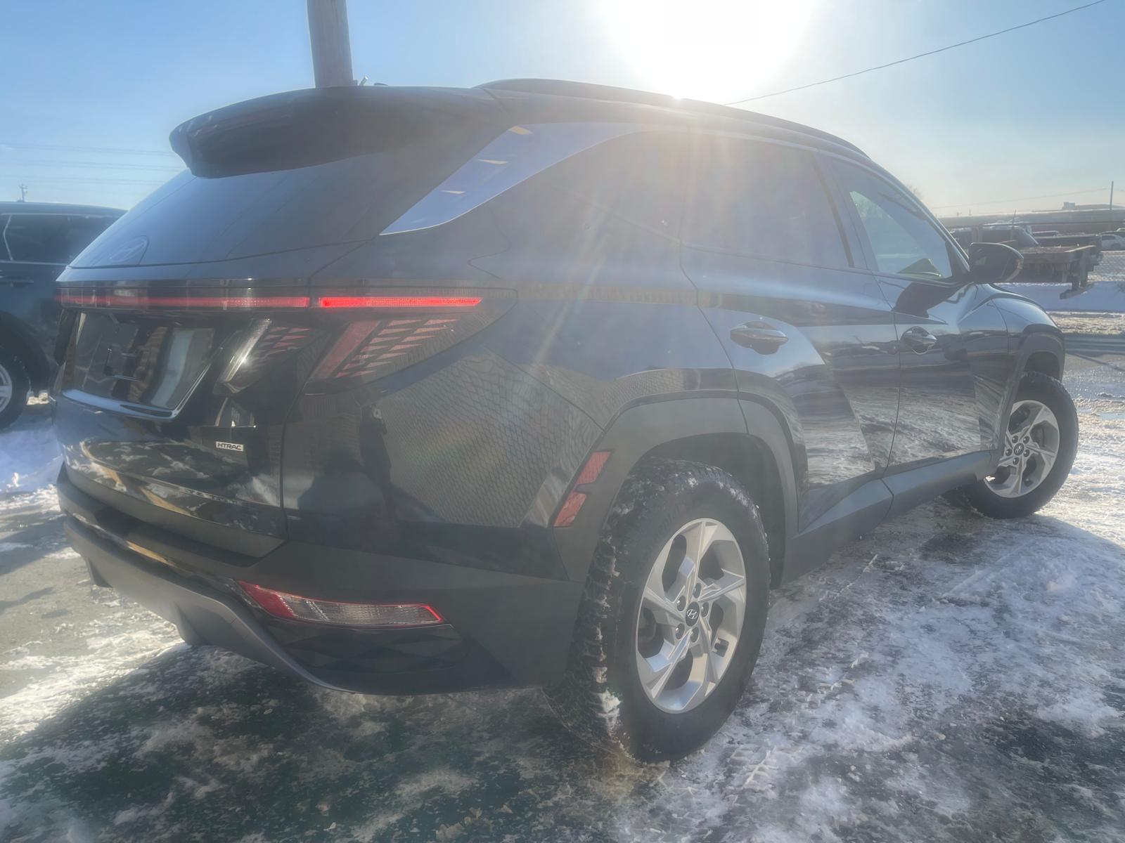 PHOTO-2026-02-26-16-10-02 3.jpg