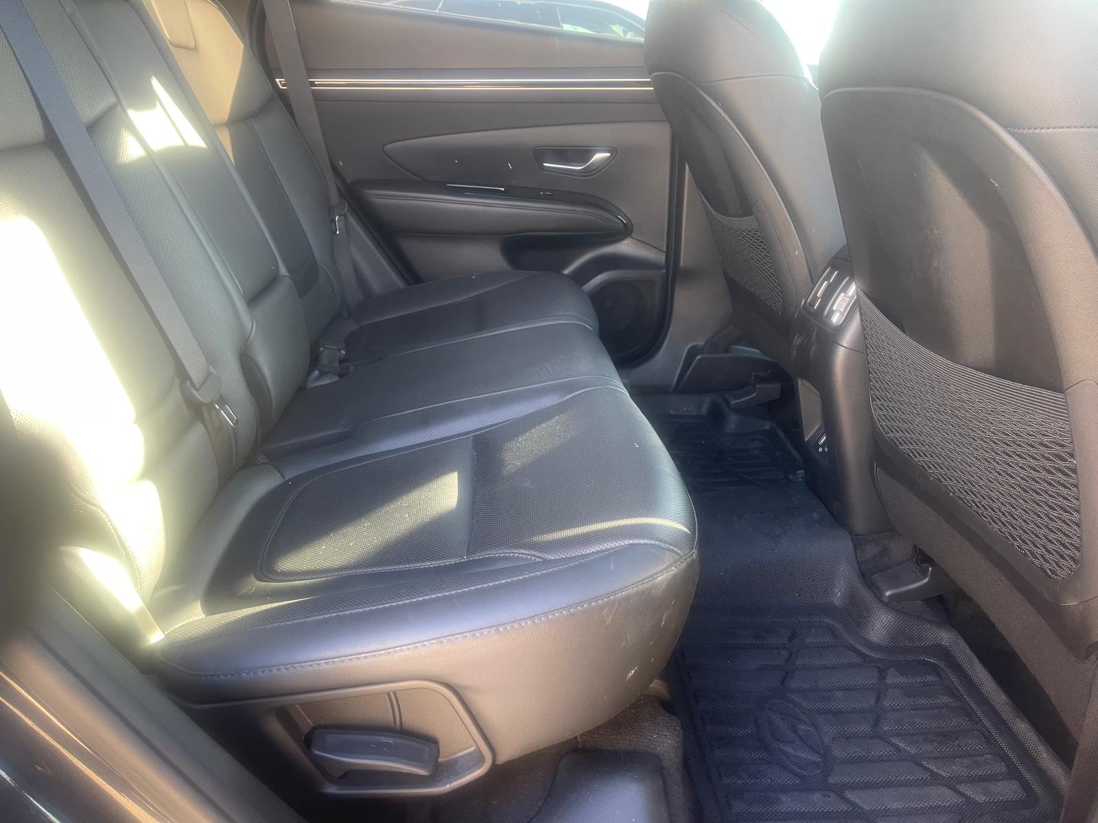 PHOTO-2026-02-26-16-10-03 3.jpg