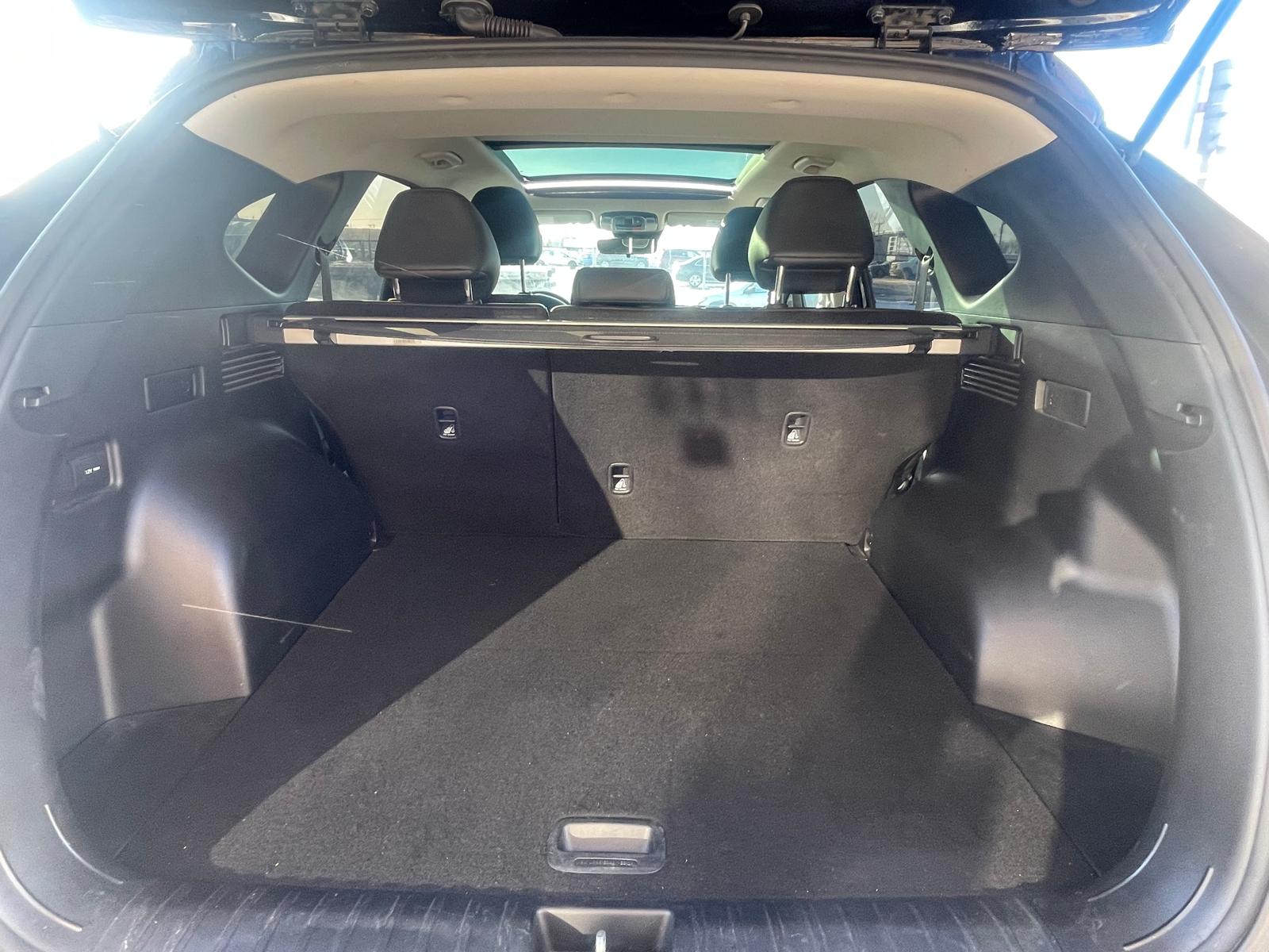 PHOTO-2026-02-26-16-10-03 5.jpg