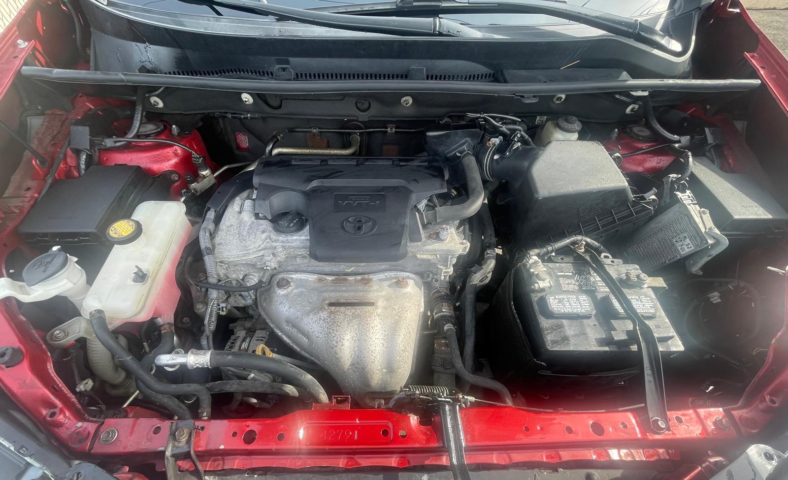 PHOTO-2026-03-03-11-43-56 19.jpg