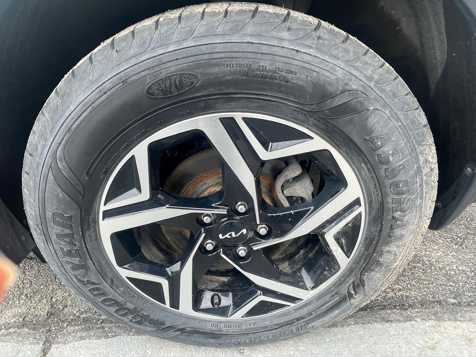 PHOTO-2026-03-10-13-33-19 17.jpg