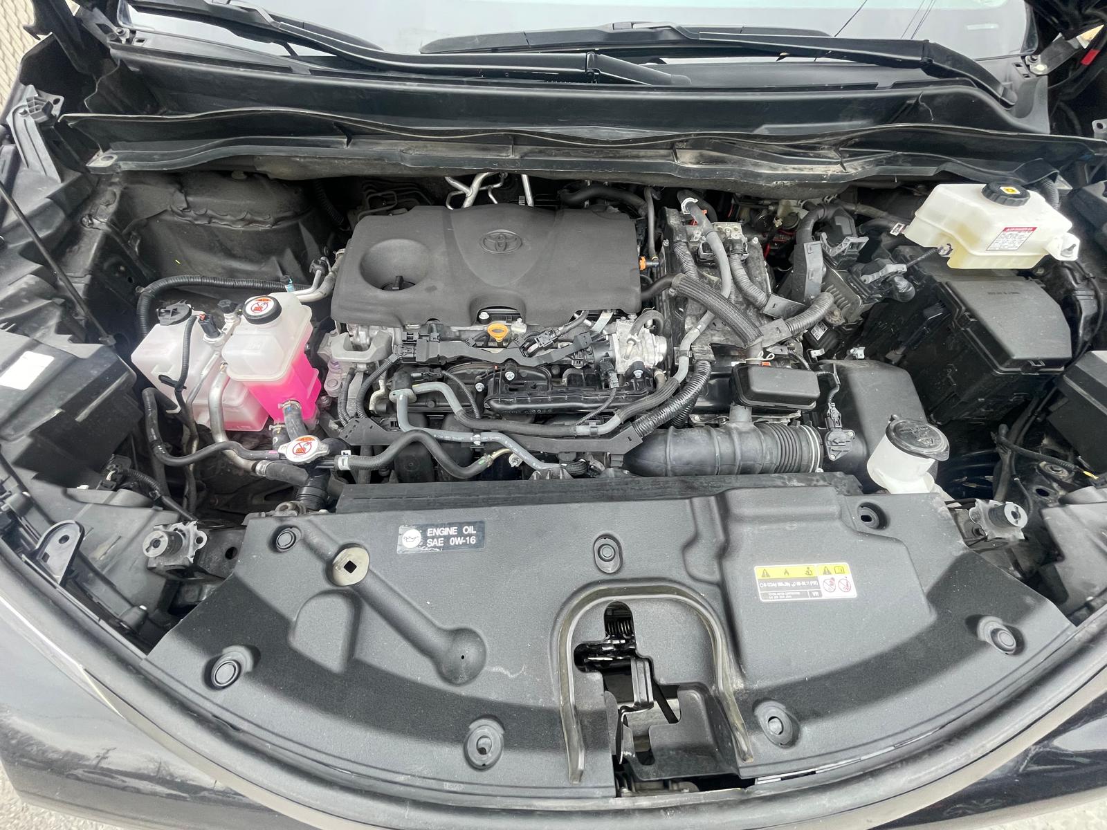 PHOTO-2026-03-10-15-35-47 25.jpg