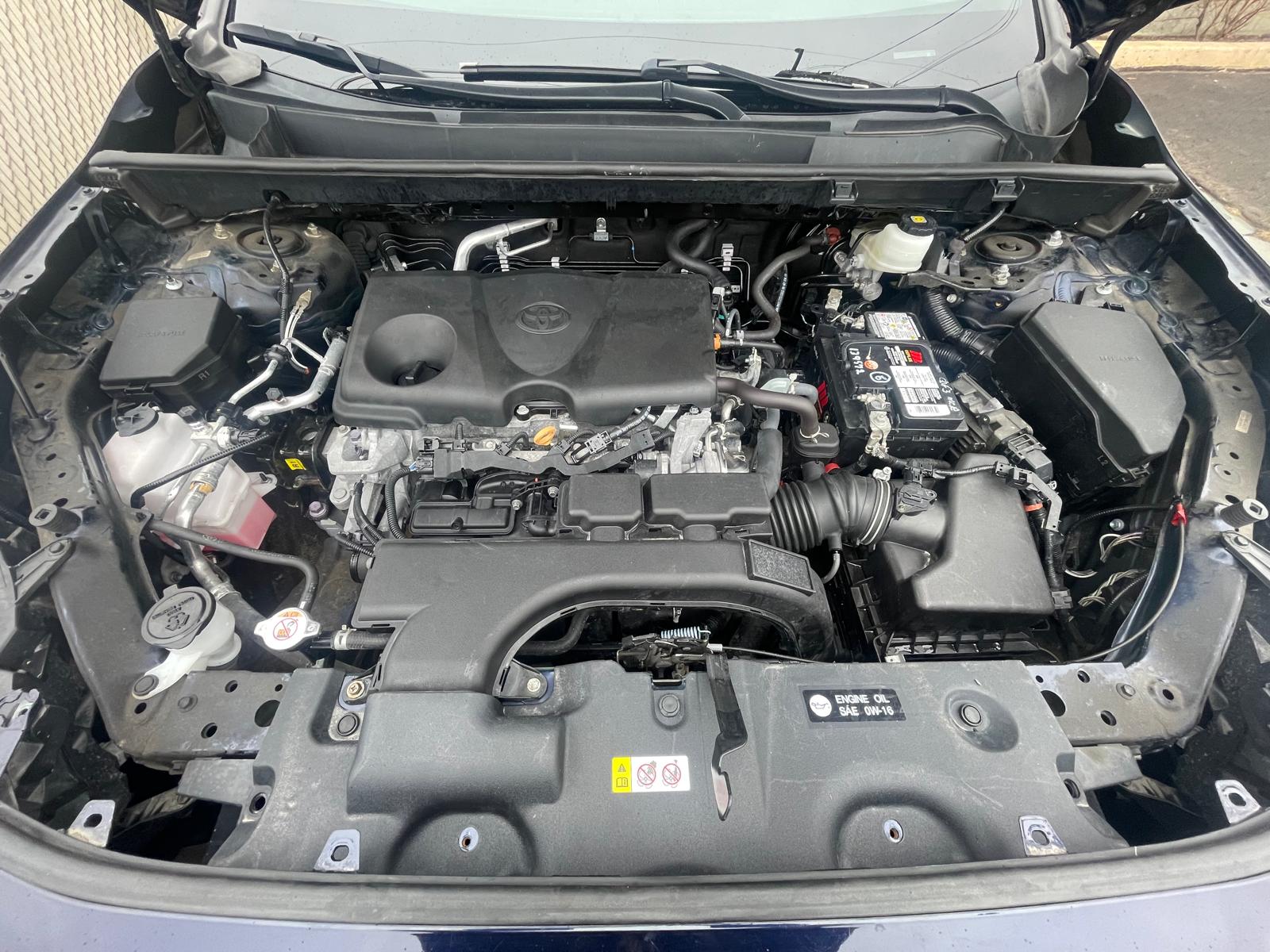 PHOTO-2026-03-11-10-58-51 16.jpg