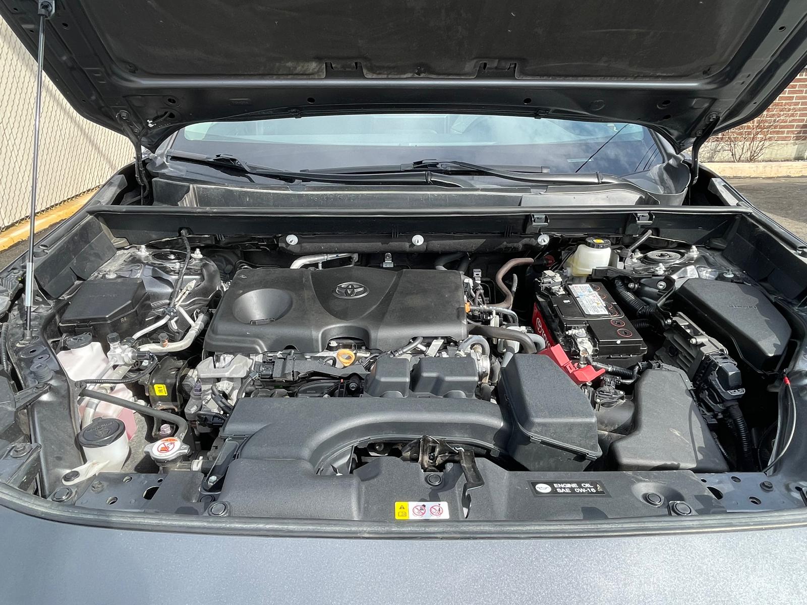 PHOTO-2026-03-16-16-13-15 5.jpg