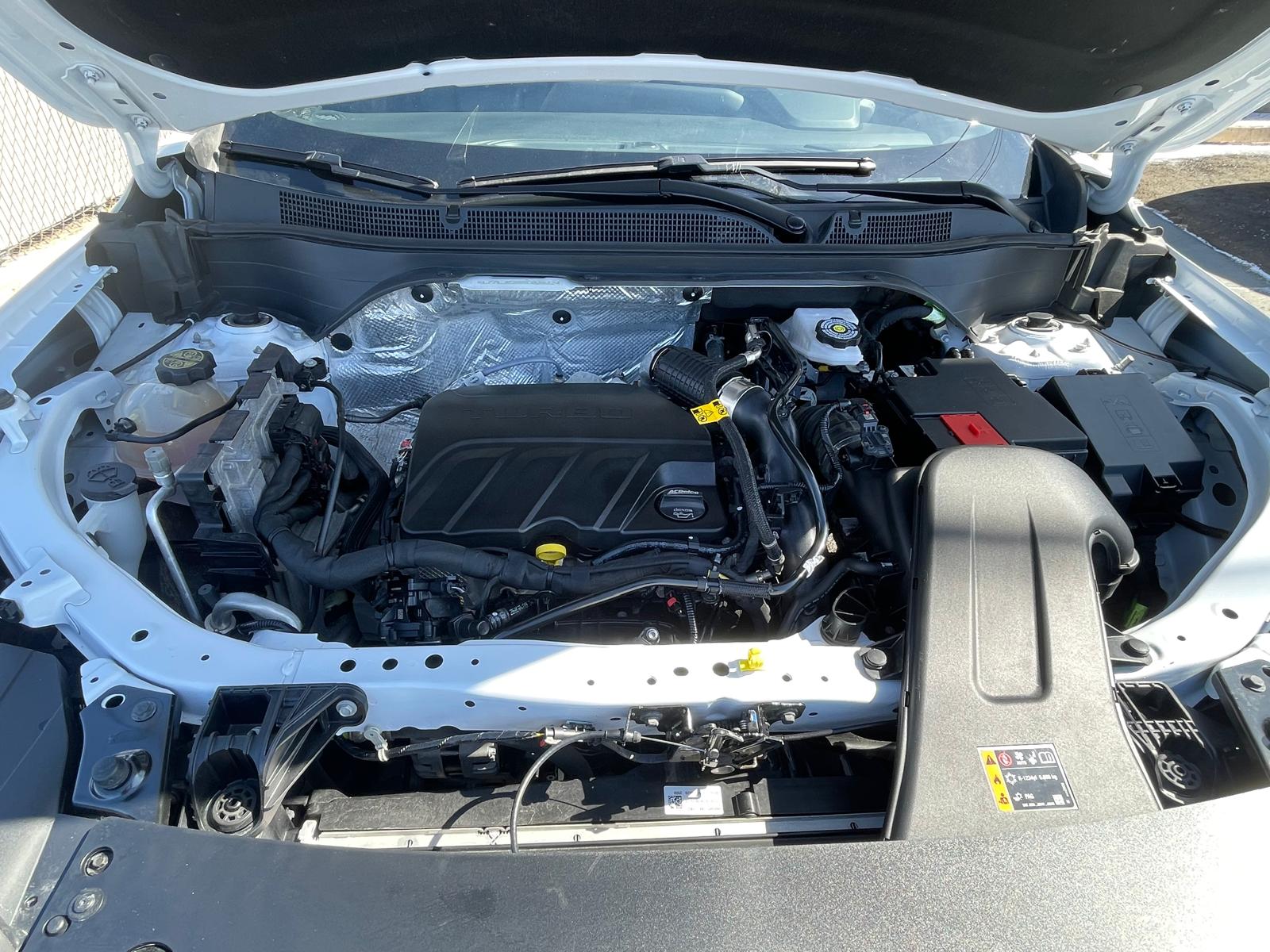 PHOTO-2026-03-18-13-56-41 15.jpg