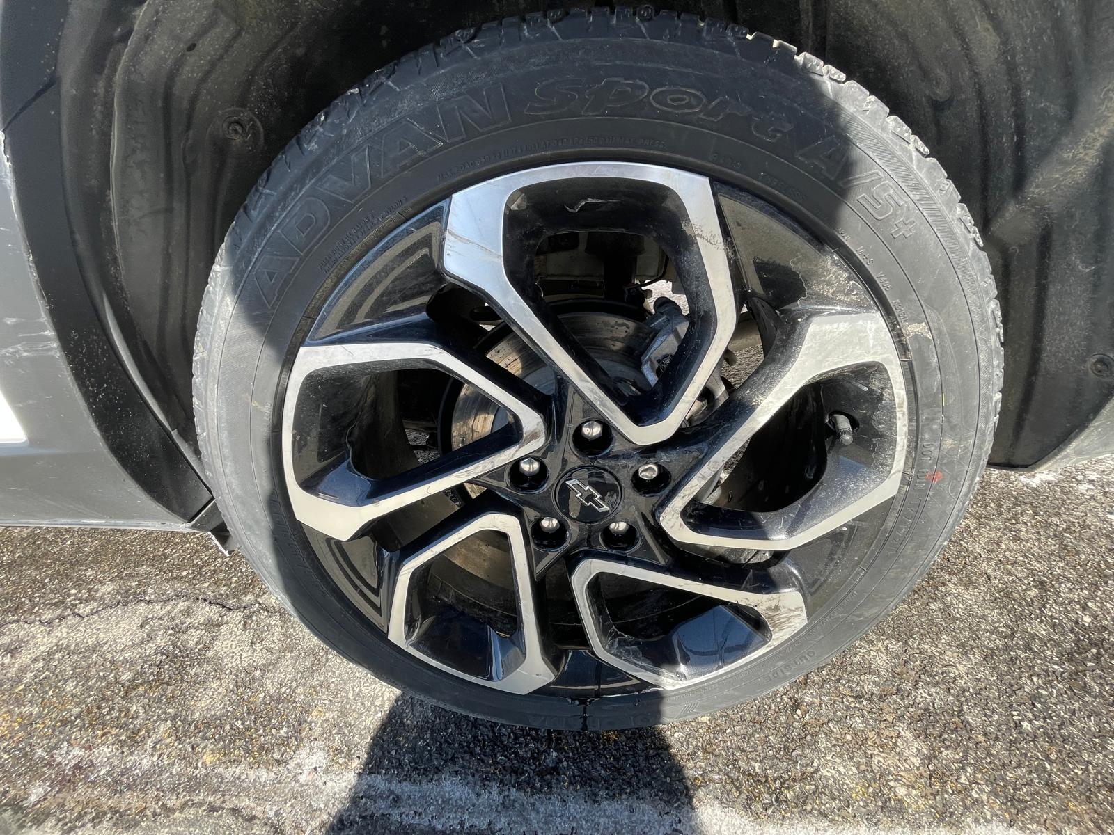 PHOTO-2026-03-18-13-56-40 8.jpg