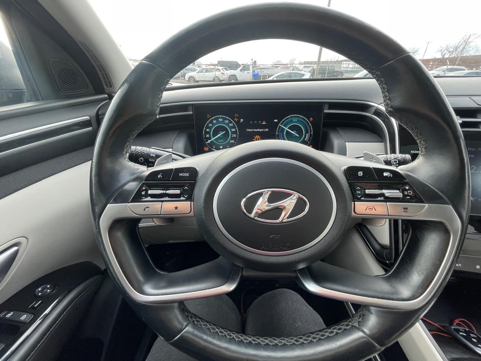 PHOTO-2026-03-18-17-13-55 18.jpg