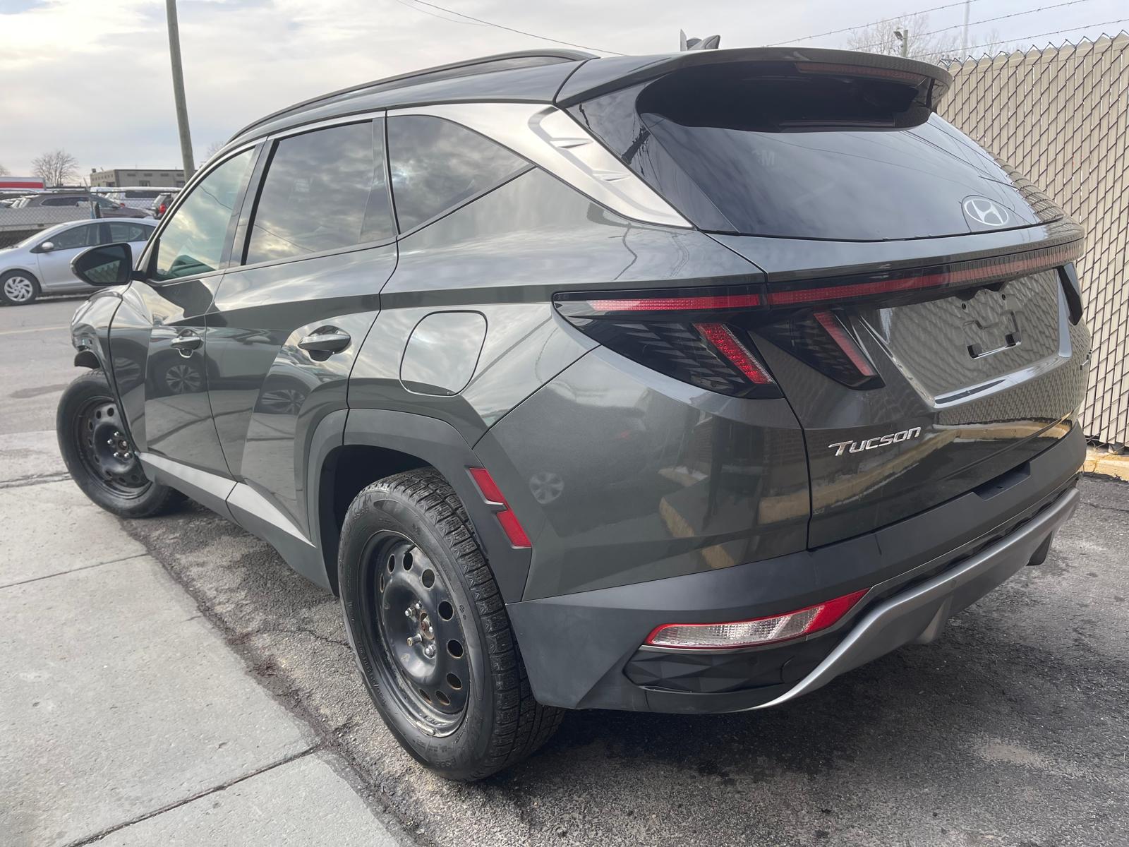 PHOTO-2026-03-18-17-13-55 5.jpg