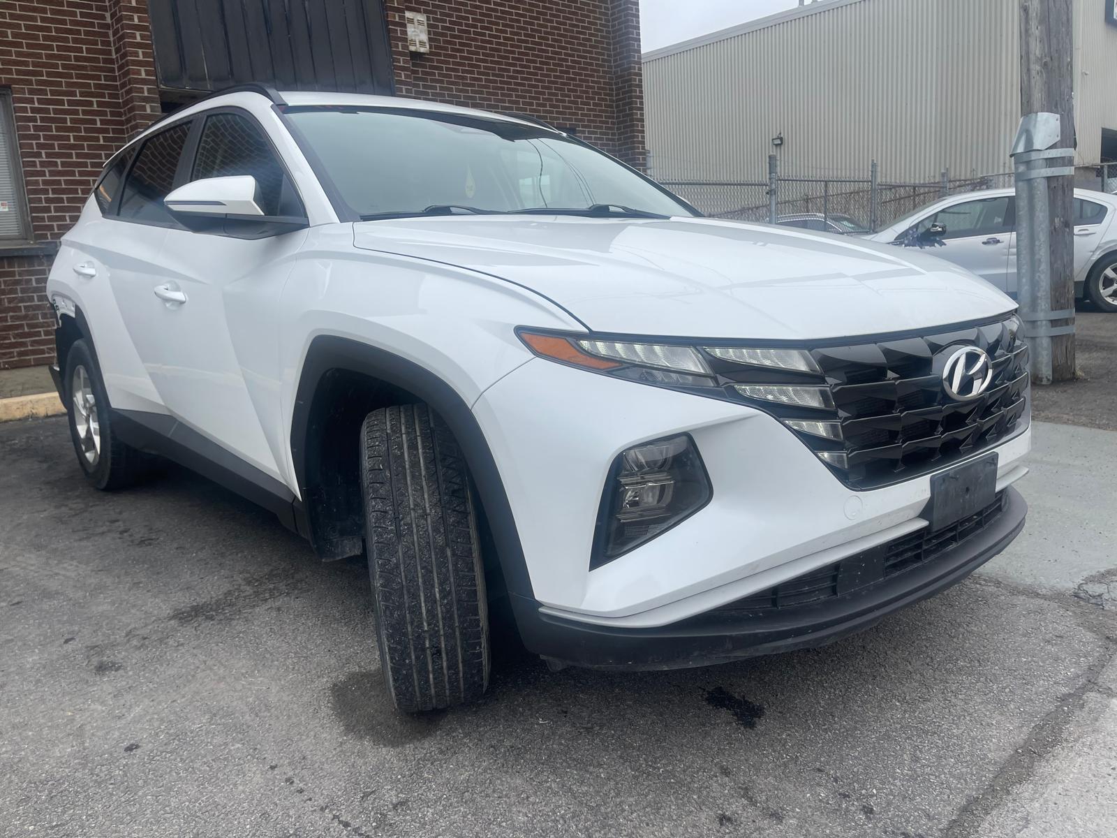 PHOTO-2026-04-14-11-22-20 2.jpg