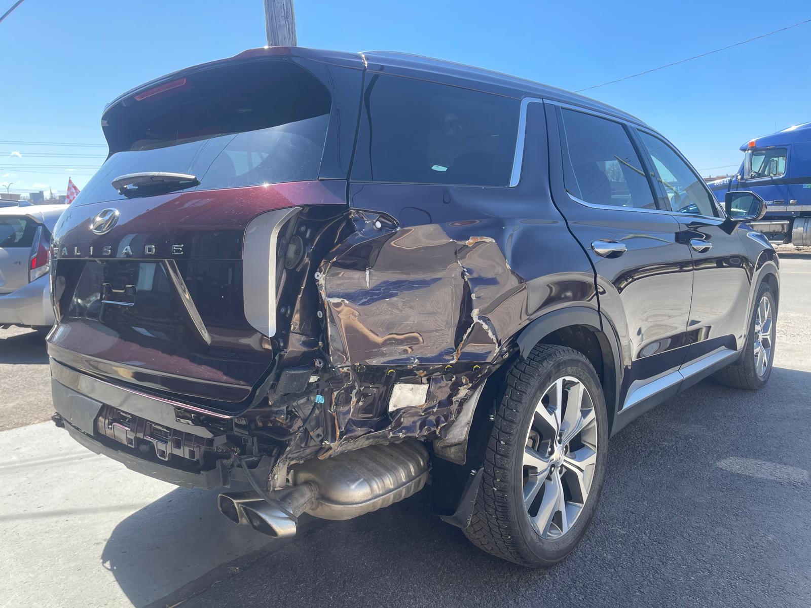 PHOTO-2026-04-24-13-10-26 3.jpg