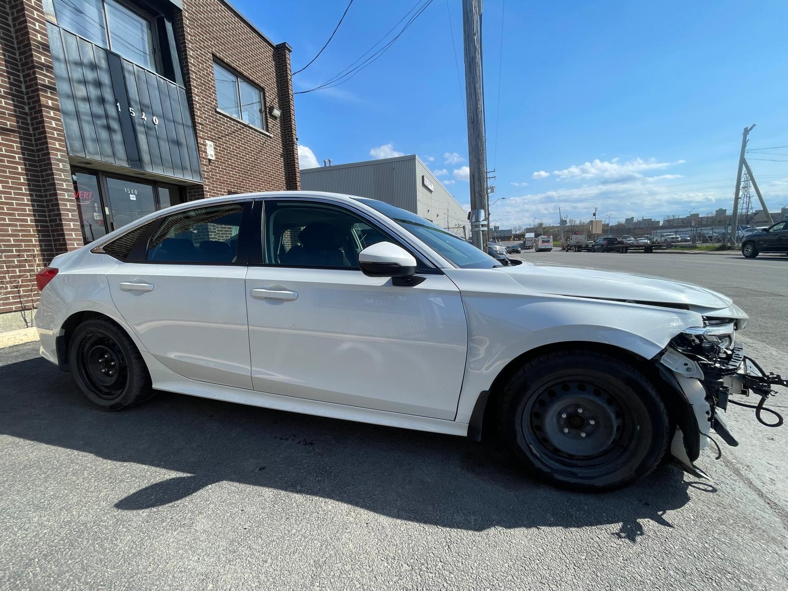 PHOTO-2026-05-04-16-59-35 6.jpg